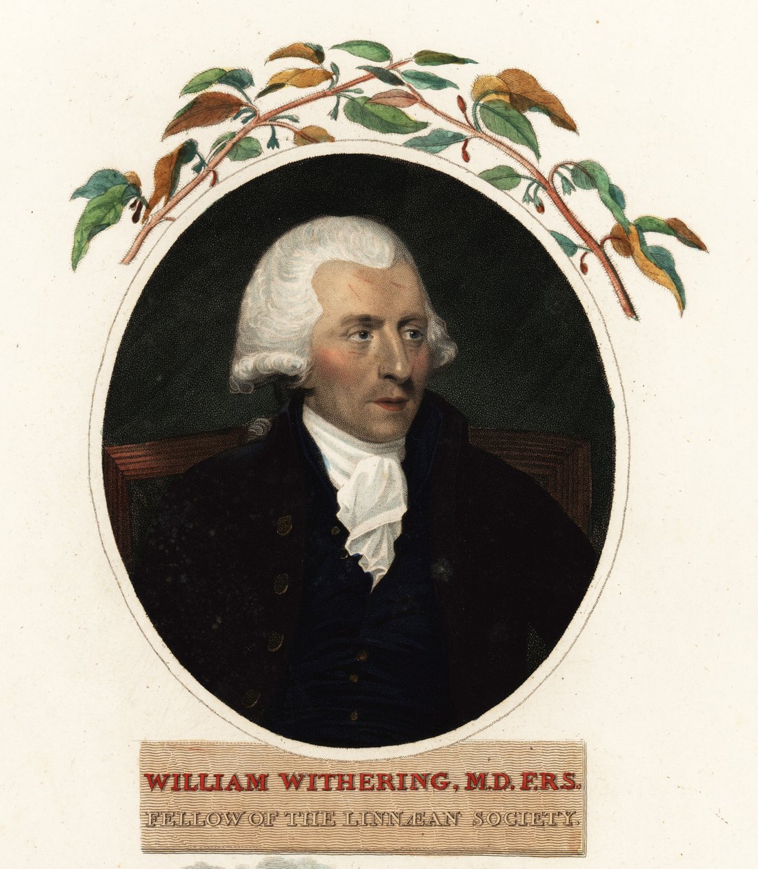 Portrét Williama Witheringa, lékaře a botanika od Carl Frederik van (after) Breda