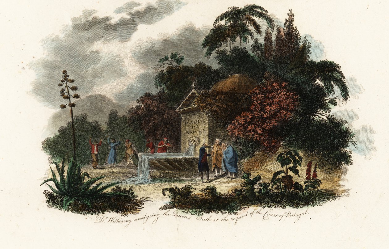 William Withering v Caldas da Rainha od Carl Frederik van (after) Breda