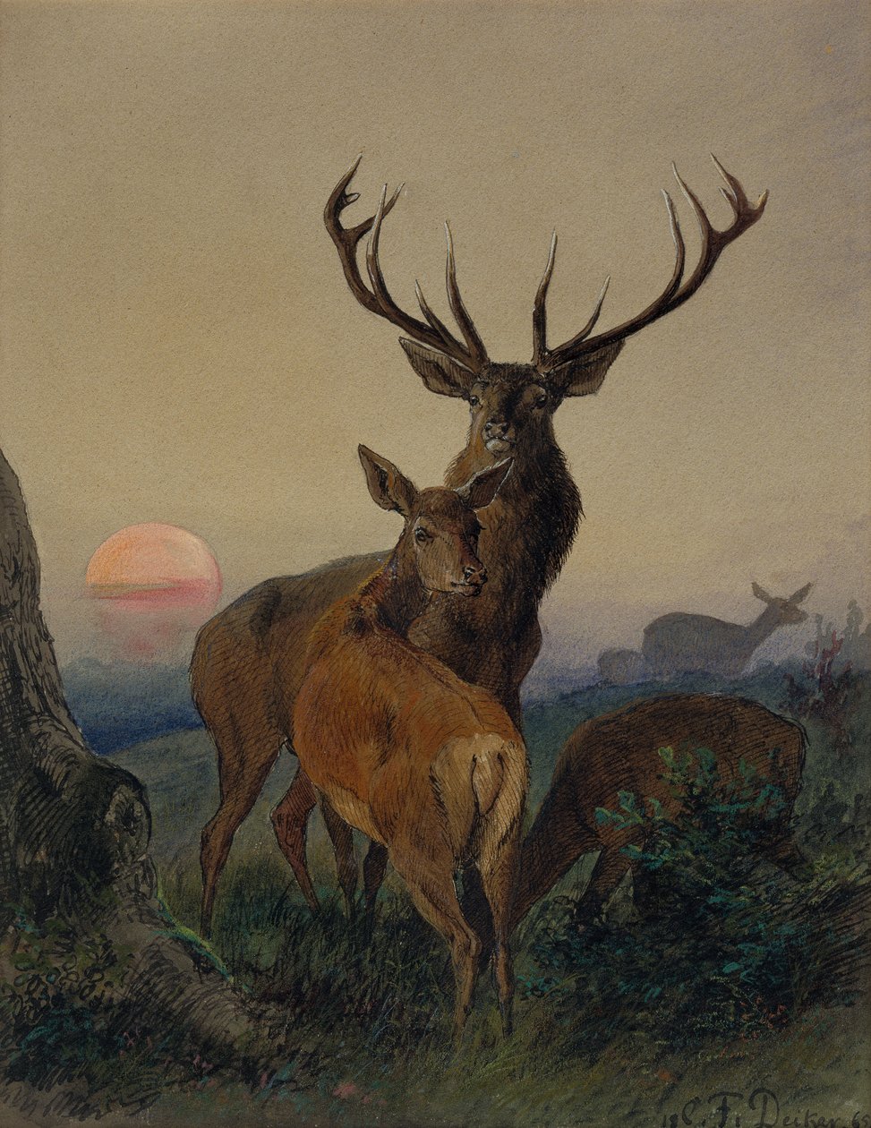 Jelen s jelenem v zalesněné krajině při západu slunce od Carl Friedrich Deiker