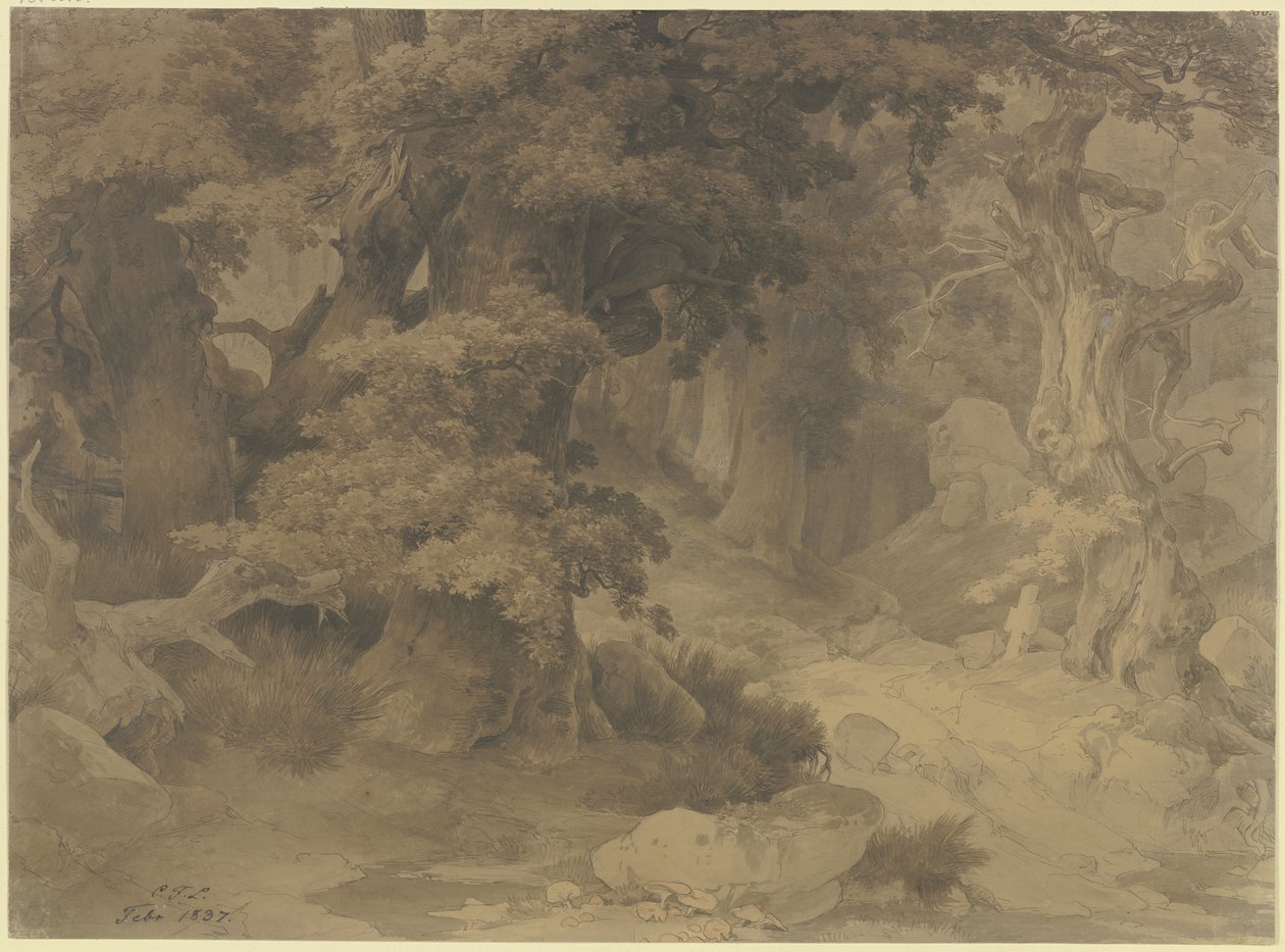 Dubový les od Carl Friedrich Lessing
