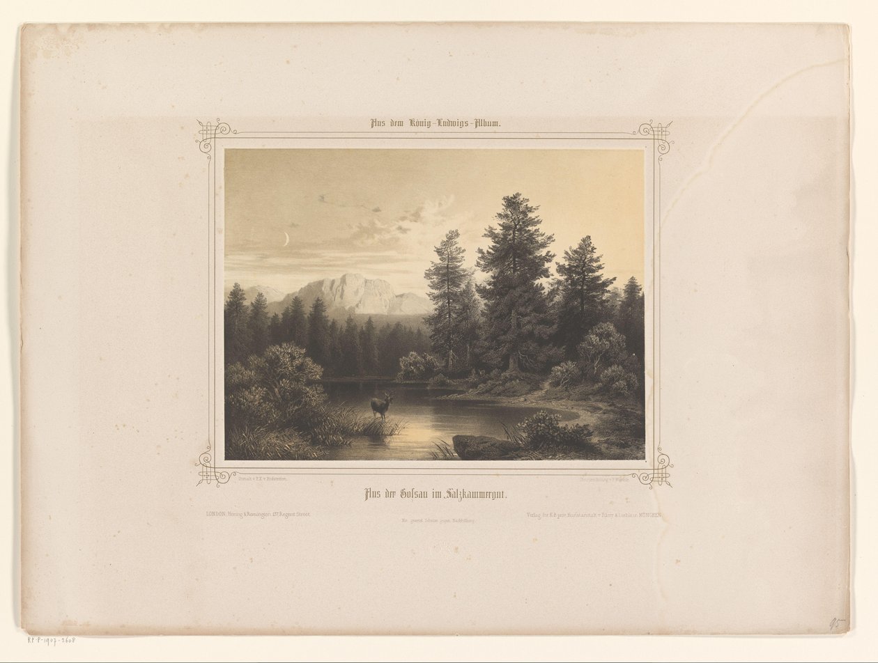 Pohled na vodu v Salzkammergut Flus der Gossau im Salzkammergut (název na objektu) Album představené Ludvíku I. Bavorskému (název série) König-Ludwigovo album (název série) od Carl Friedrich Würthle