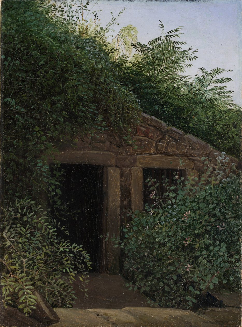 Zarostlá důlní šachta od Carl Gustav Carus
