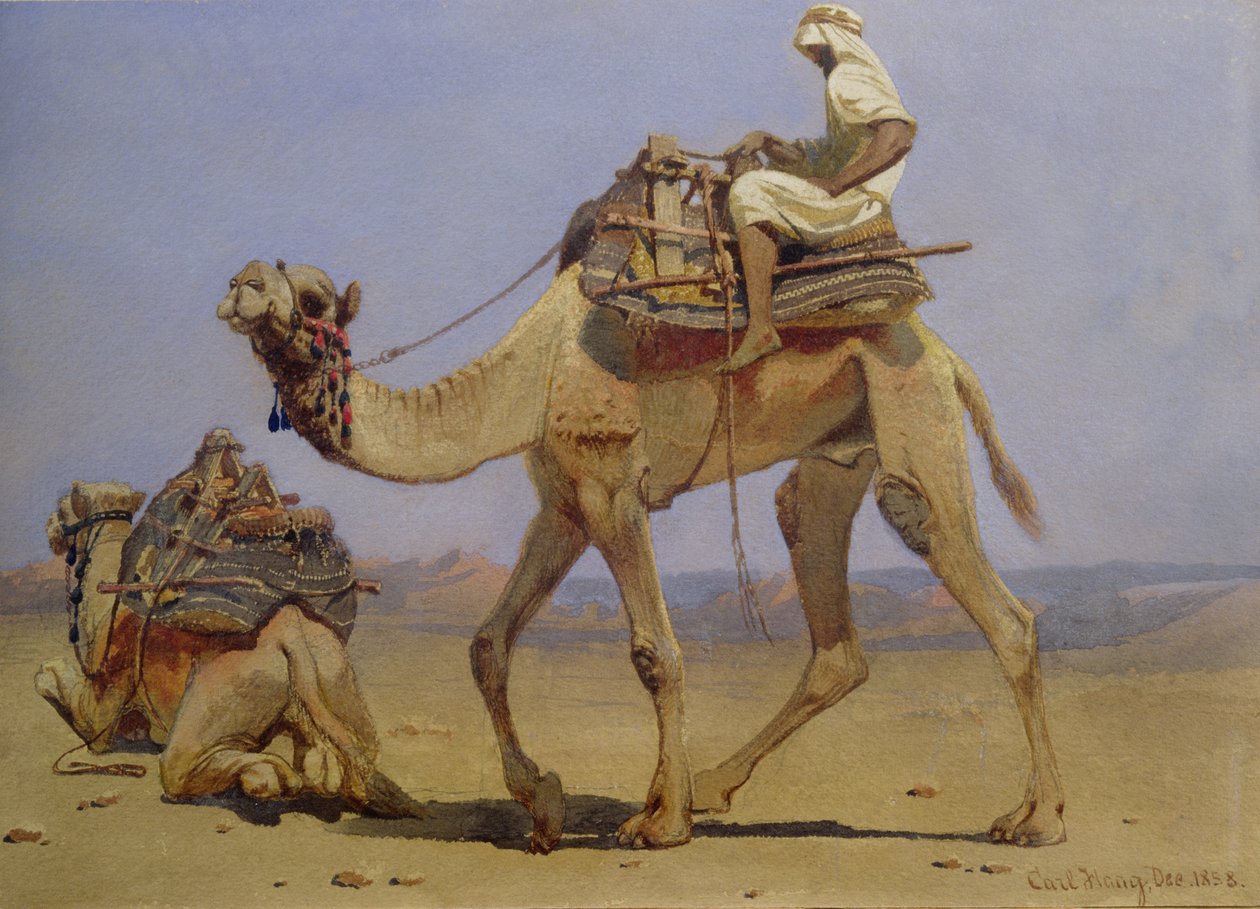 Velbloud se připravuje k ležení, 1858 od Carl Haag