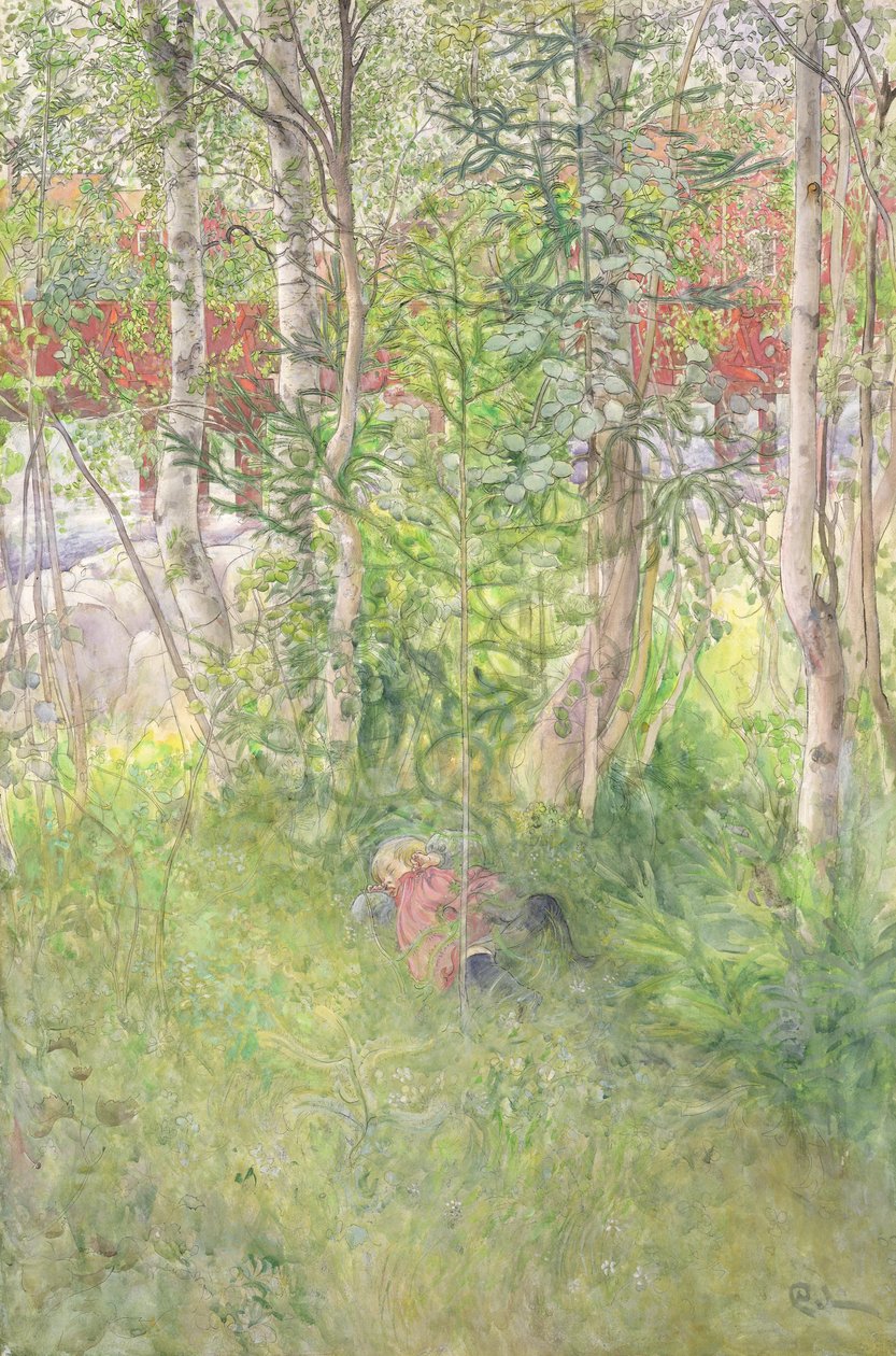Zdřímnutí venku od Carl Larsson
