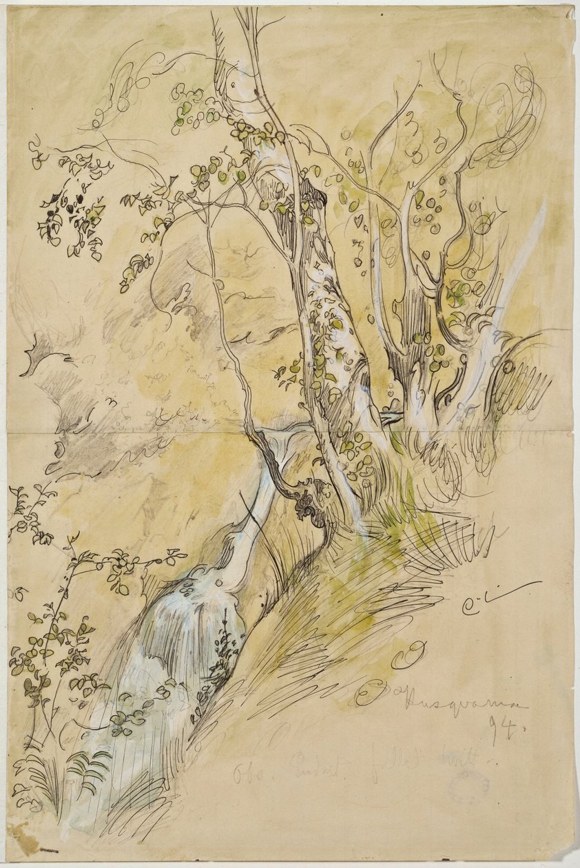 Břízy u potoka od Carl Larsson