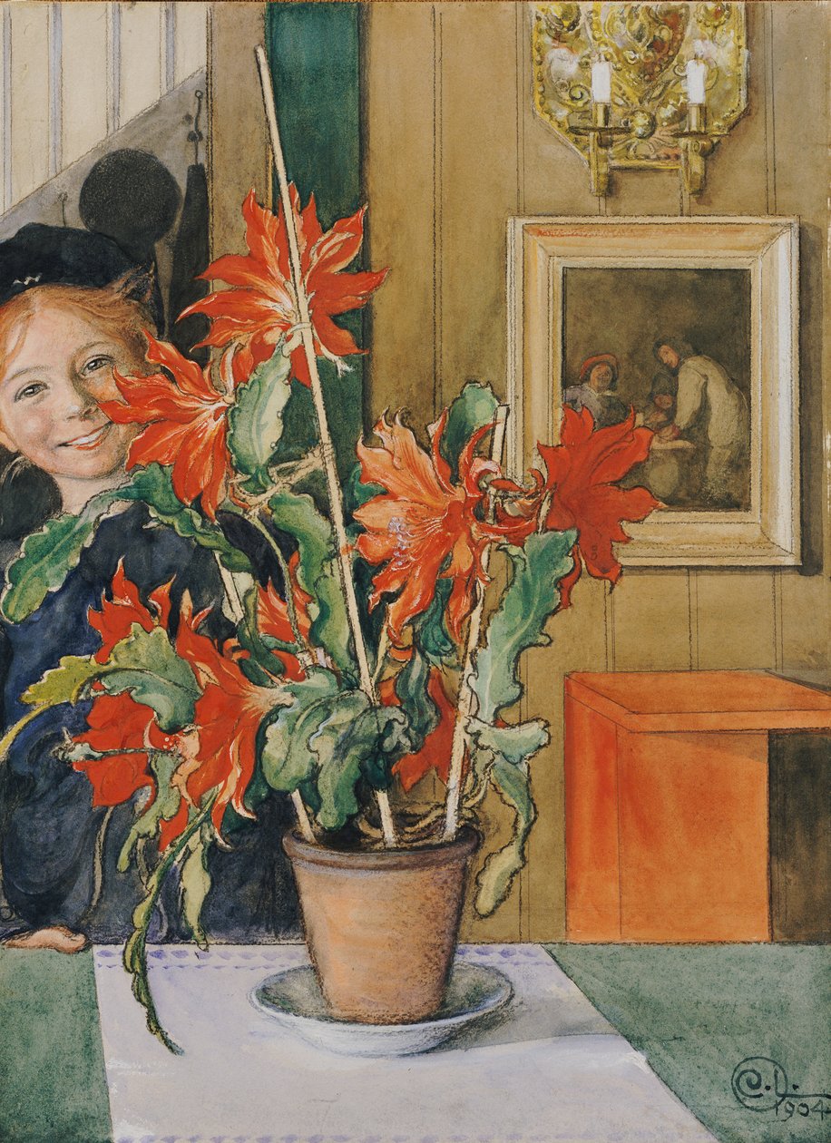 Britův kaktus, 1904 od Carl Larsson