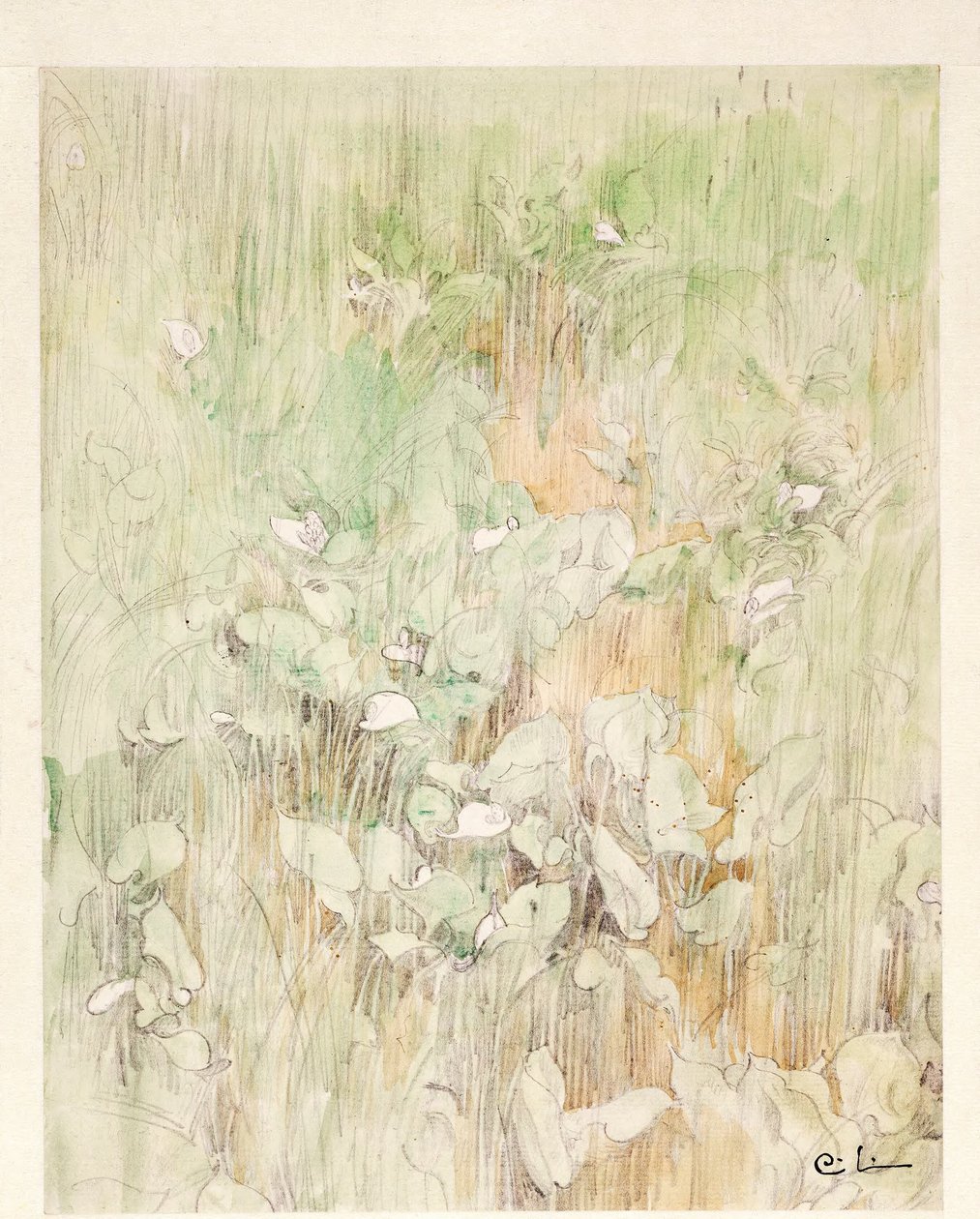 Kallor od Carl Larsson