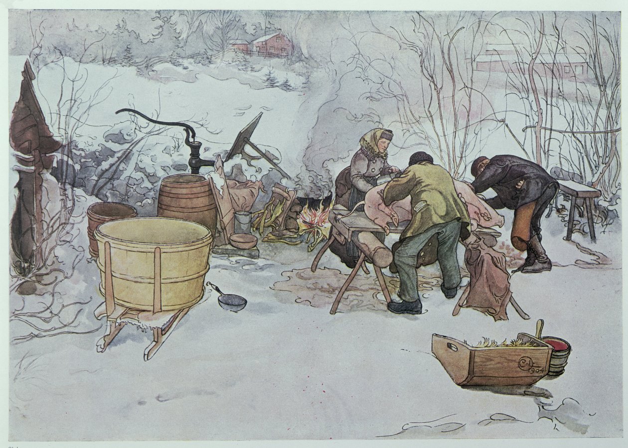 "Zabíjení prasete", ilustrace pro knihu "Moje malá farma", vydáno ve Švédsku, 1904 od Carl Larsson