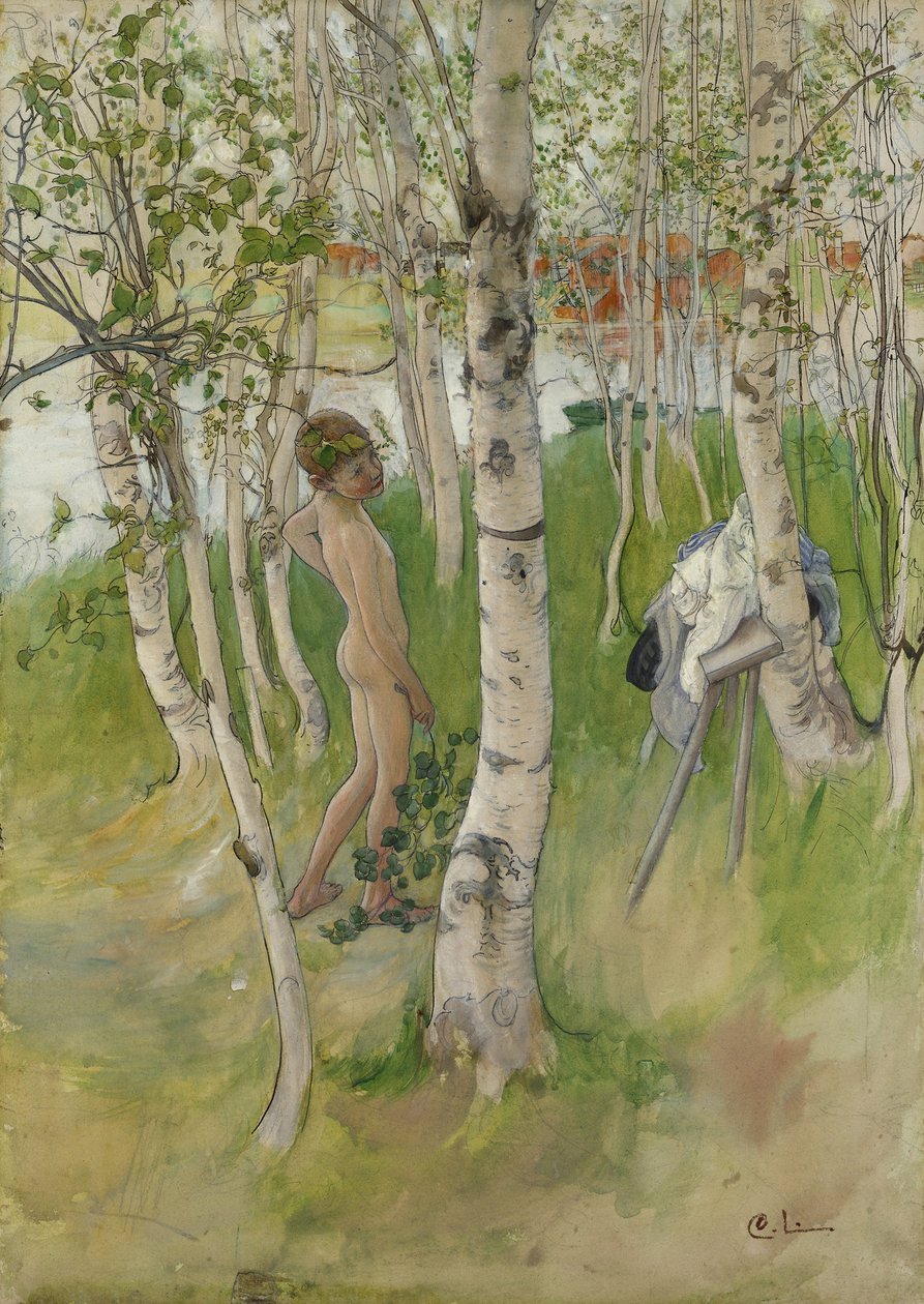 Nahý chlapec mezi břízami, 1898 (wc na papíře) od Carl Larsson