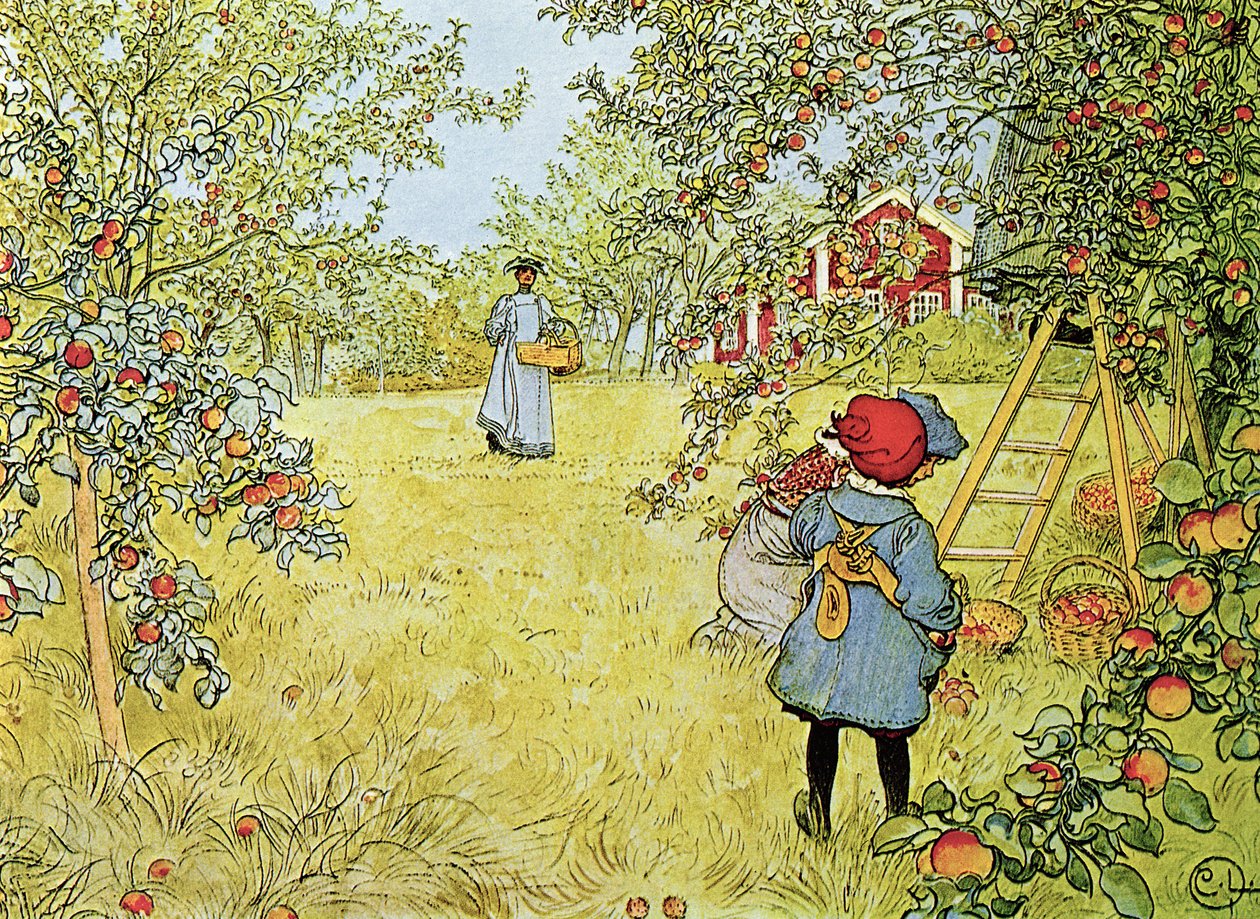 Sklizeň jablek od Carl Larsson