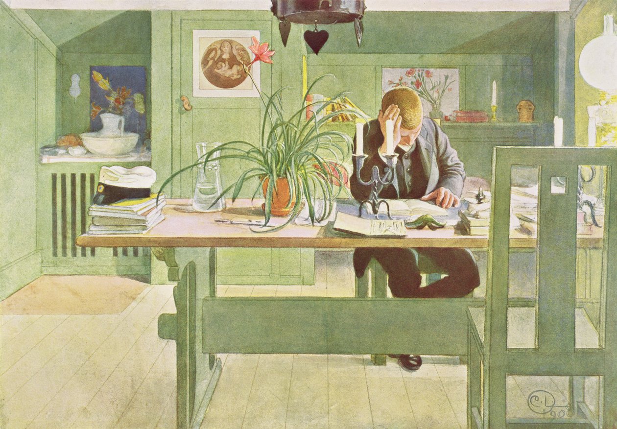 Studovna, hospoda. v "Last Licht Hinten" ("Let in More Light"), 1908 od Carl Larsson