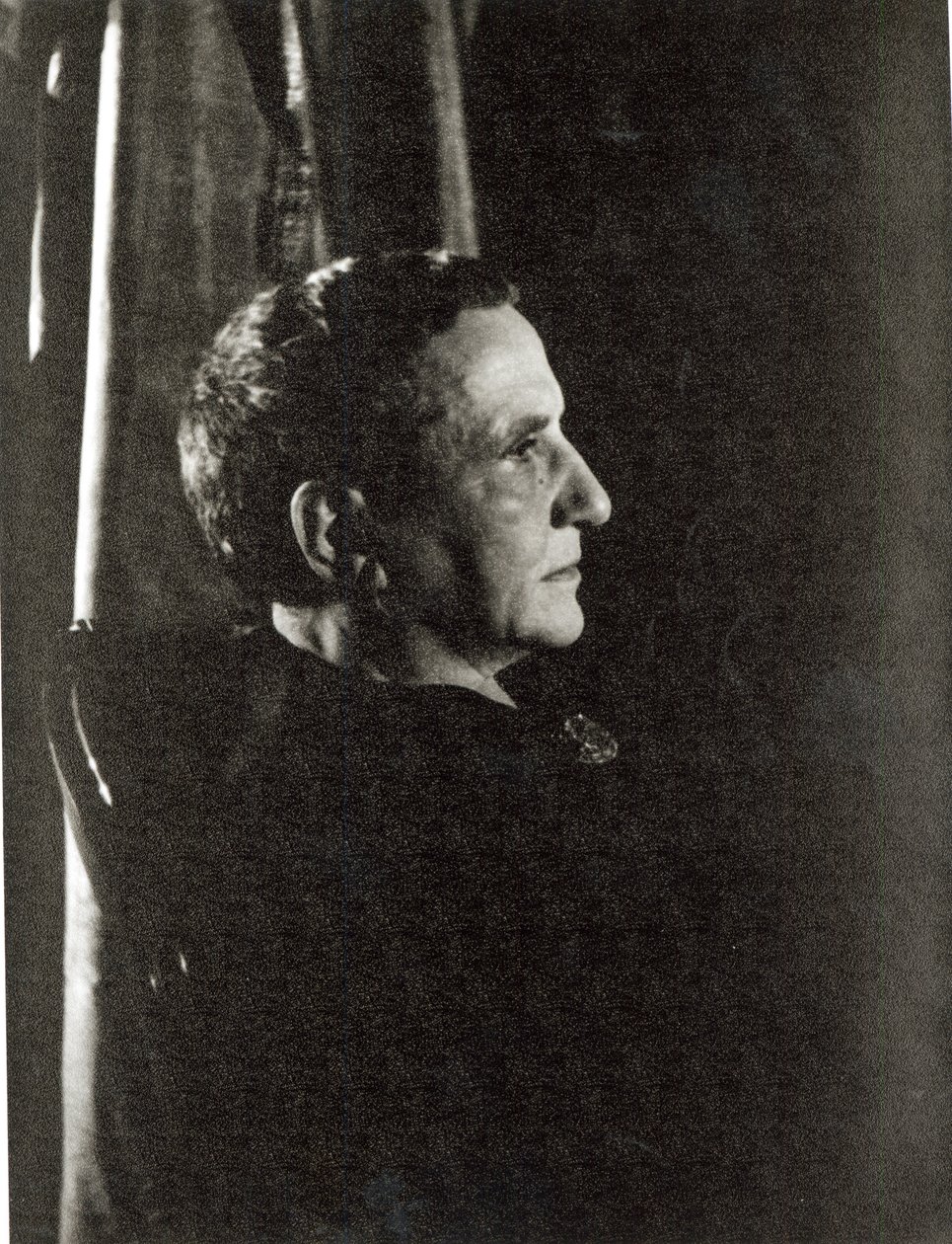 Gertruda Steinová (1874-1946) 4. listopadu 1934 (želatinový stříbrný tisk) od Carl Van Vechten