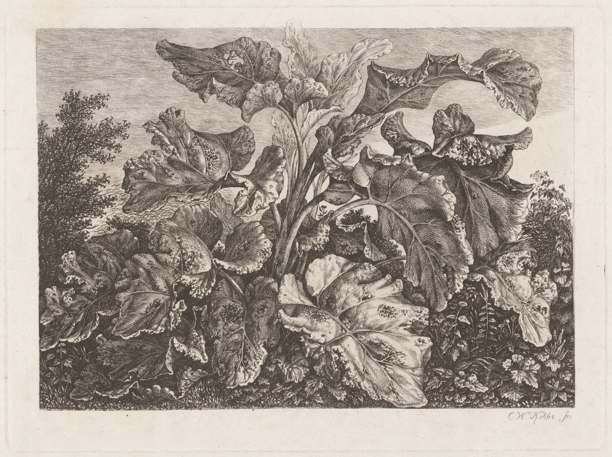 Studie rostlin s lopuchem od Carl Wilhelm Kolbe