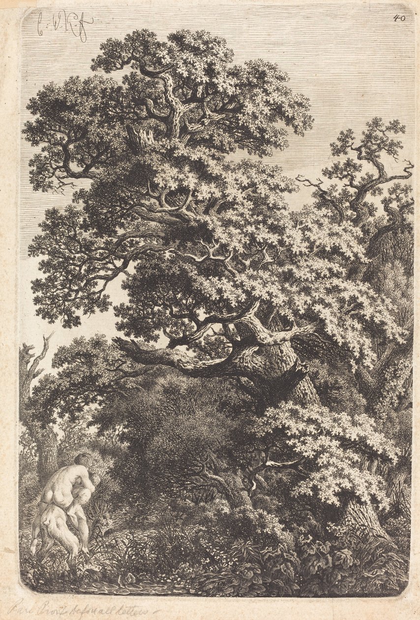 Satyr a nymfa v bažině od Carl Wilhelm Kolbe