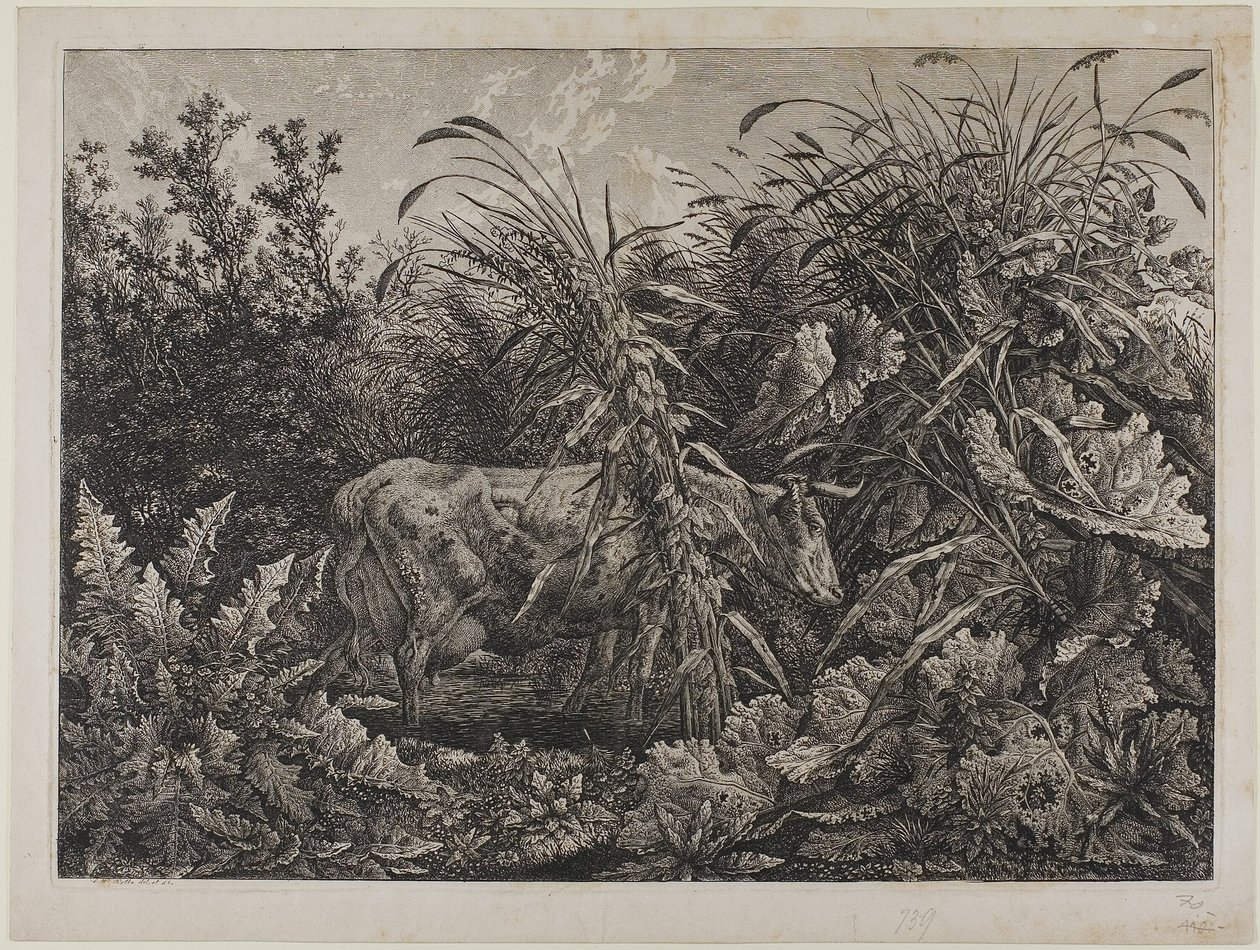 Kráva v potoce od Carl Wilhelm Kolbe the elder