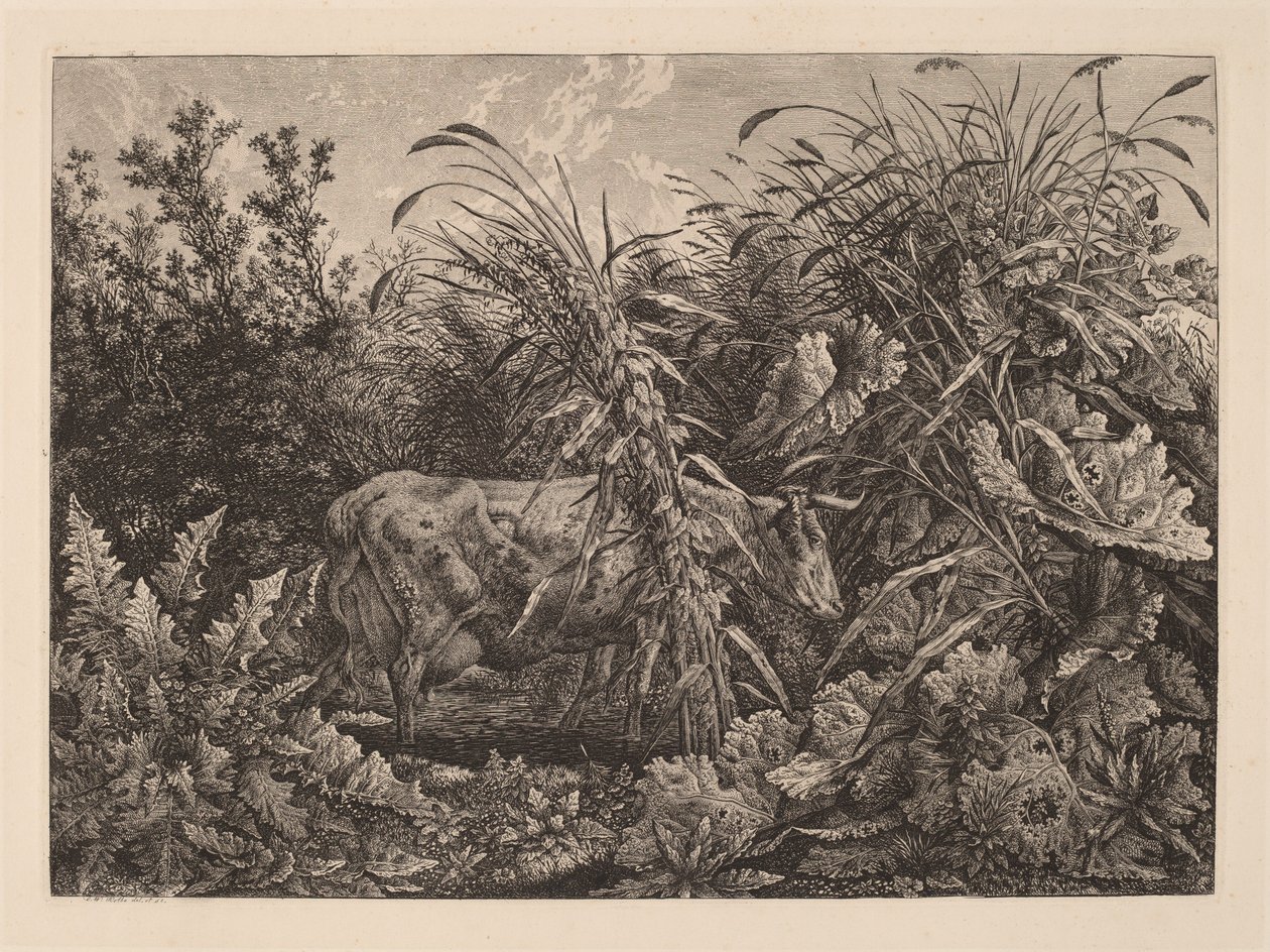 Kráva v bažině od Carl Wilhelm Kolbe, the elder