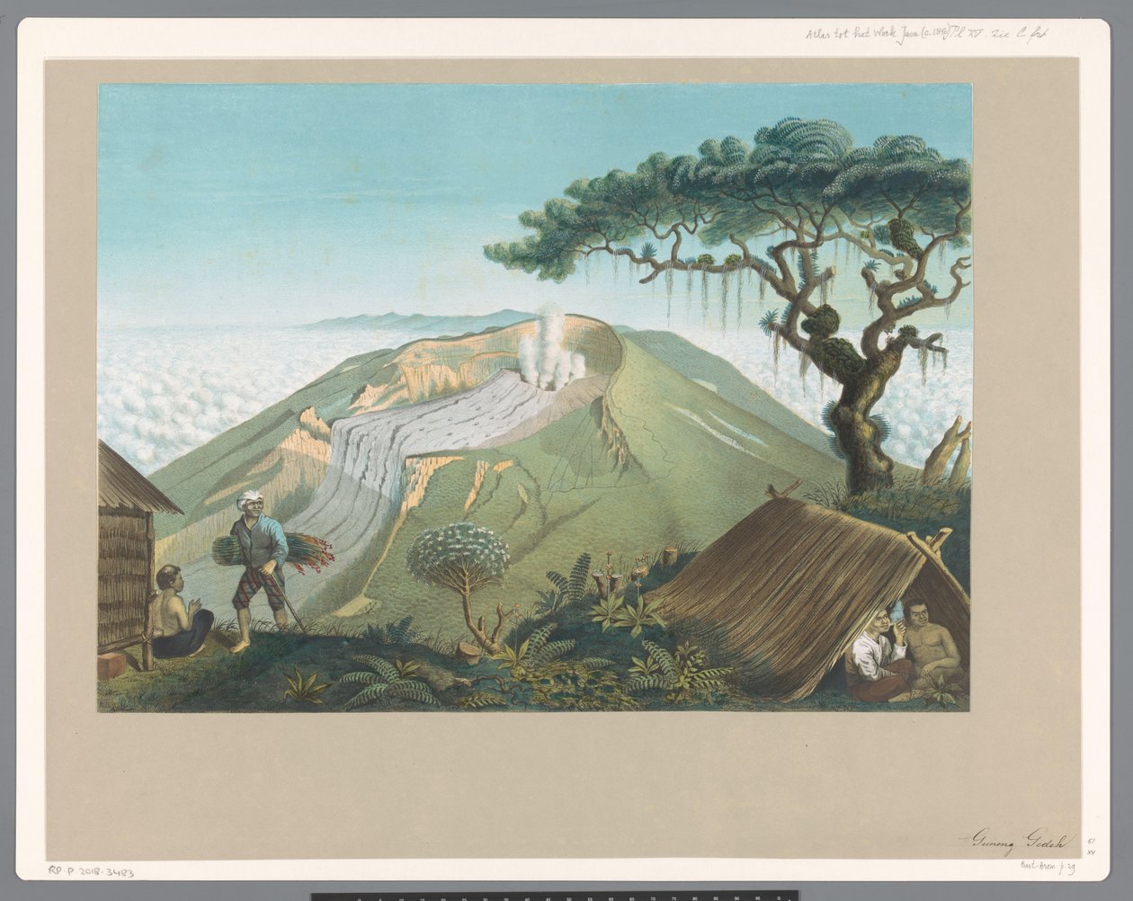 Sopka Gede v západní Jávě od Carl Wilhelm Mieling (possibly)