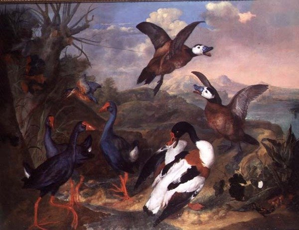 Ptáci v krajině od Carl Wilhelm de Hamilton