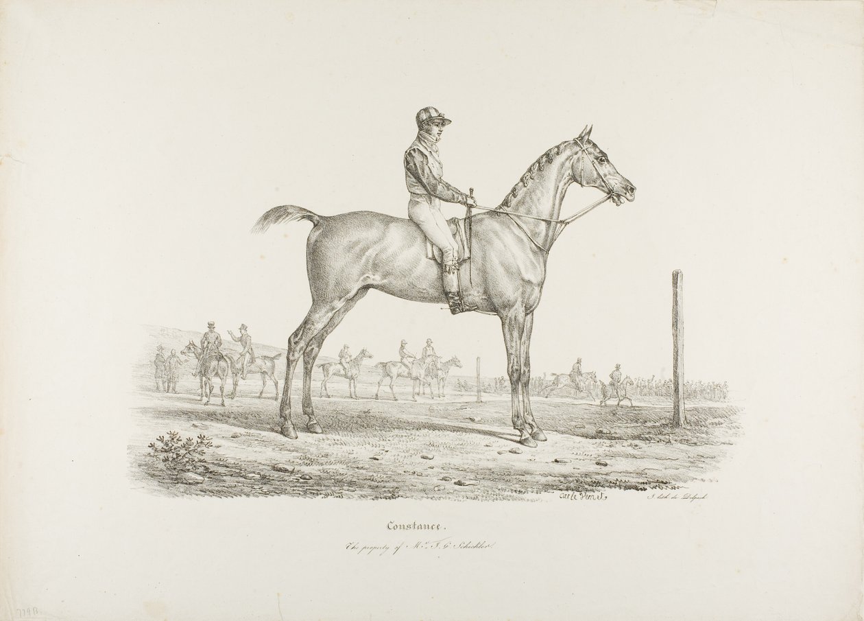 Kostnice, Majetek pana J.G. Schickler od Carle Vernet