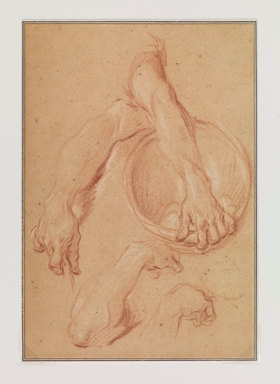 Studien eines Arms od Carle van Loo