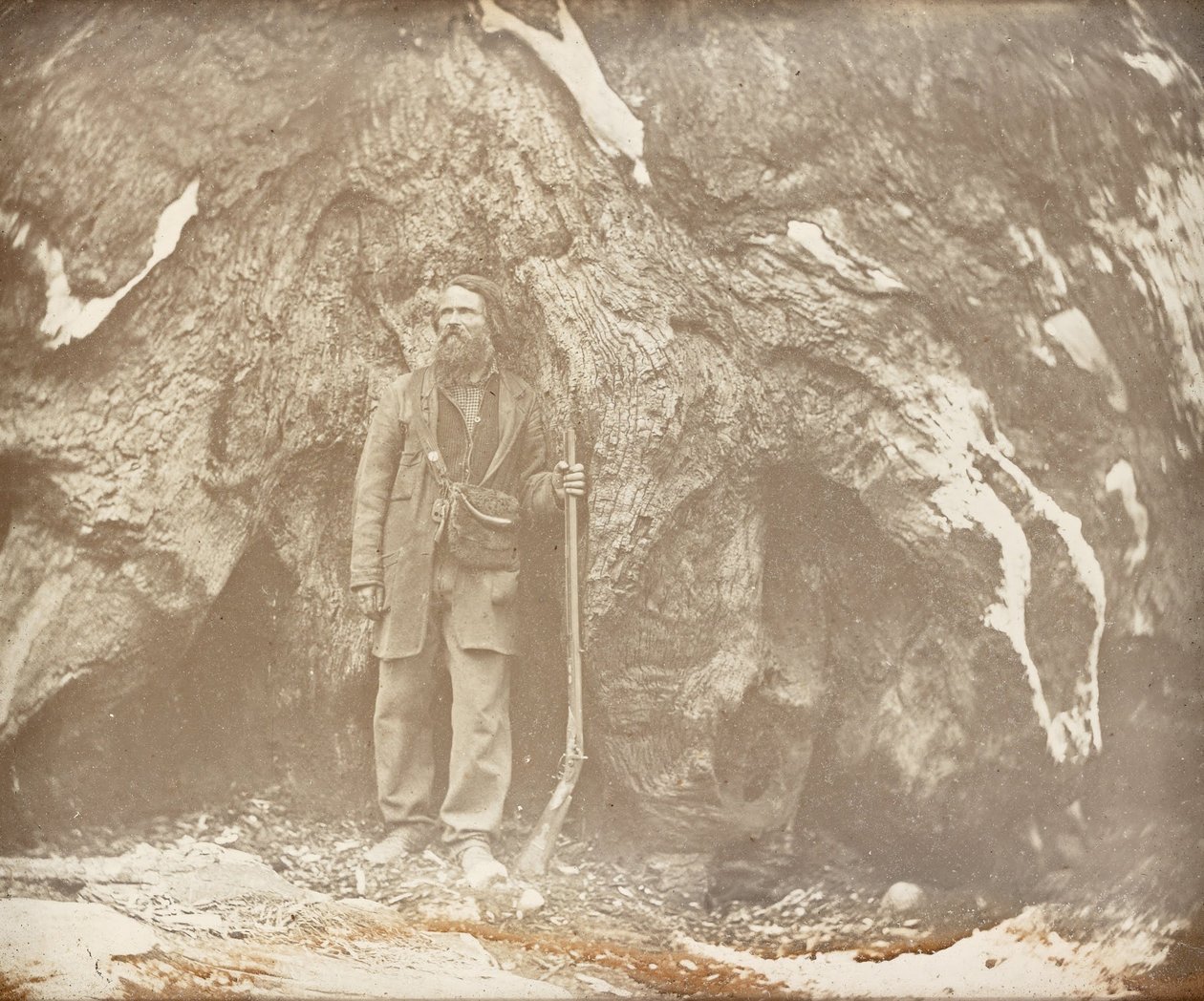 Mariposa Grove. Galen Clark. Portrét Galena Clarka od Carleton E. Watkins