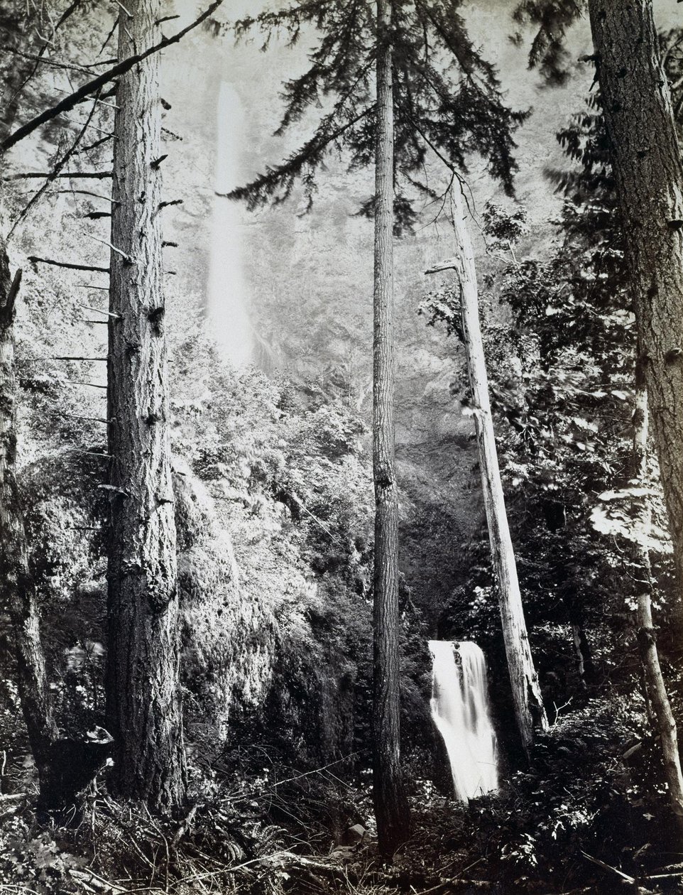 Multnomah Falls, Cascades, Columbia River od Carleton E. Watkins