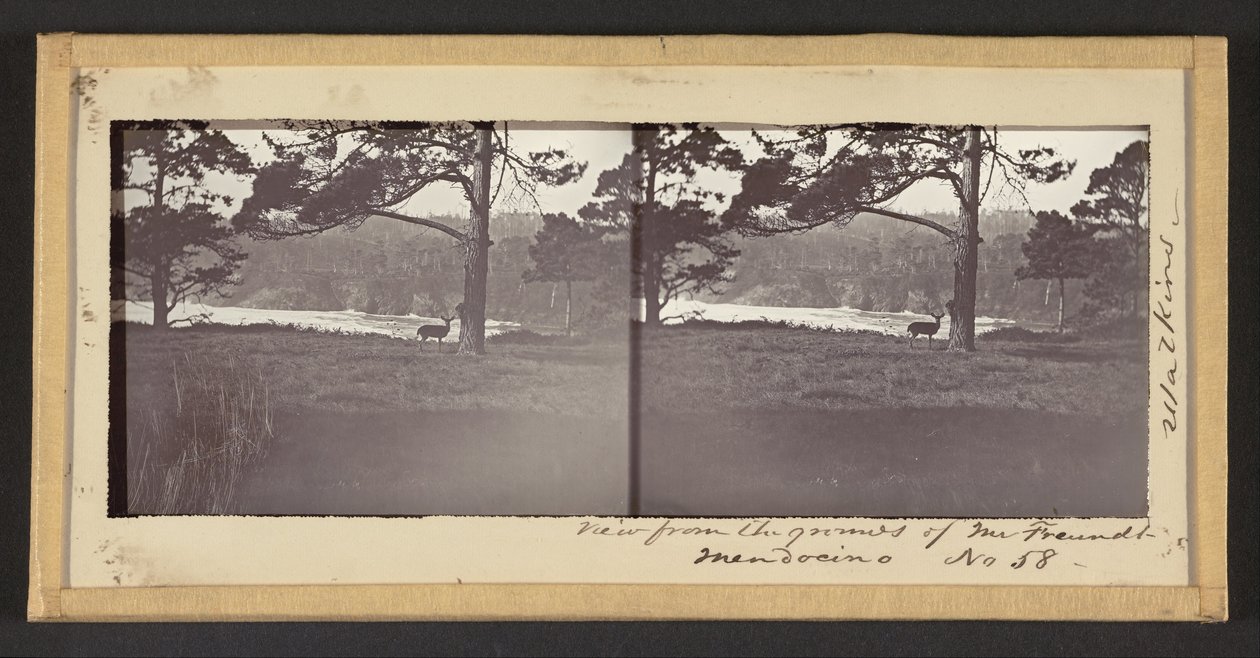 Pohled z areálu pana Freundta, Mendocino od Carleton E. Watkins
