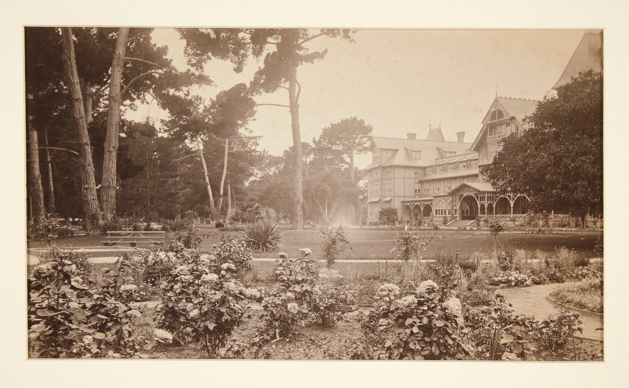 Hotel del Monte, Monterey, Růžová zahrada od Carleton E. Watkins