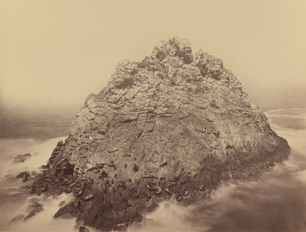 Ostrov cukrové homole, Farallons od Carleton E. Watkins