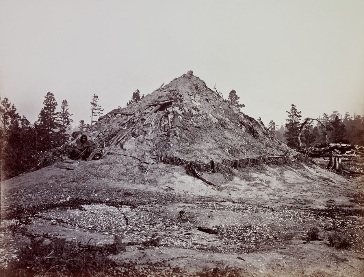 Indian Sweat House, Mendocino County, Kalifornie, 1863. od Carleton Emmons Watkins