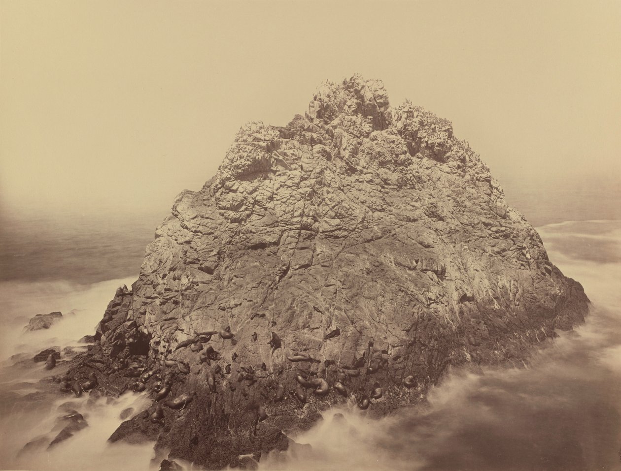 Ostrov Sugar Loaf, Farallony,1868/1869 (foto) od Carleton Emmons Watkins