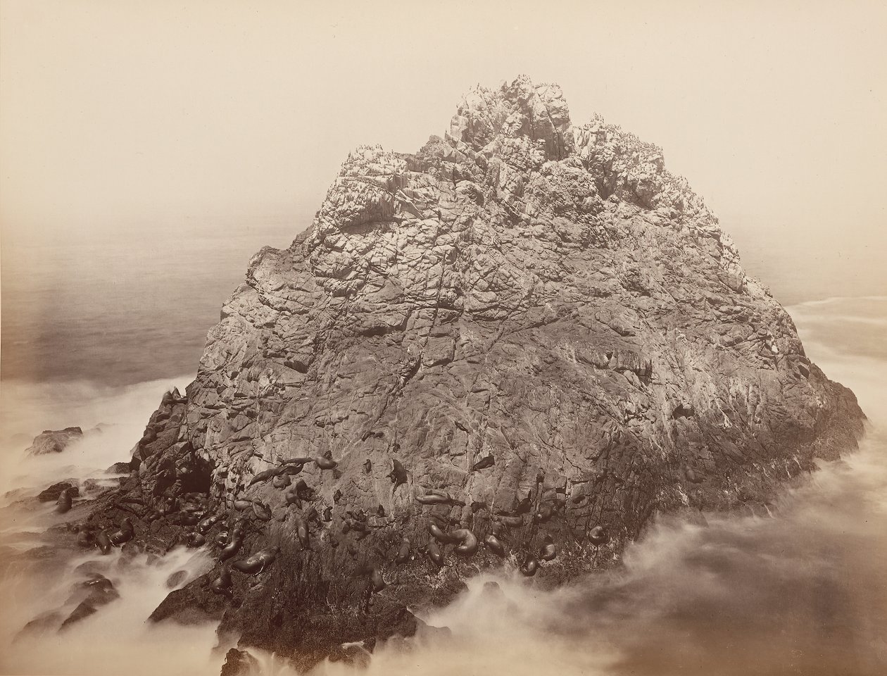 Ostrovy cukrové homole, Farallons, 1868-69. od Carleton Emmons Watkins