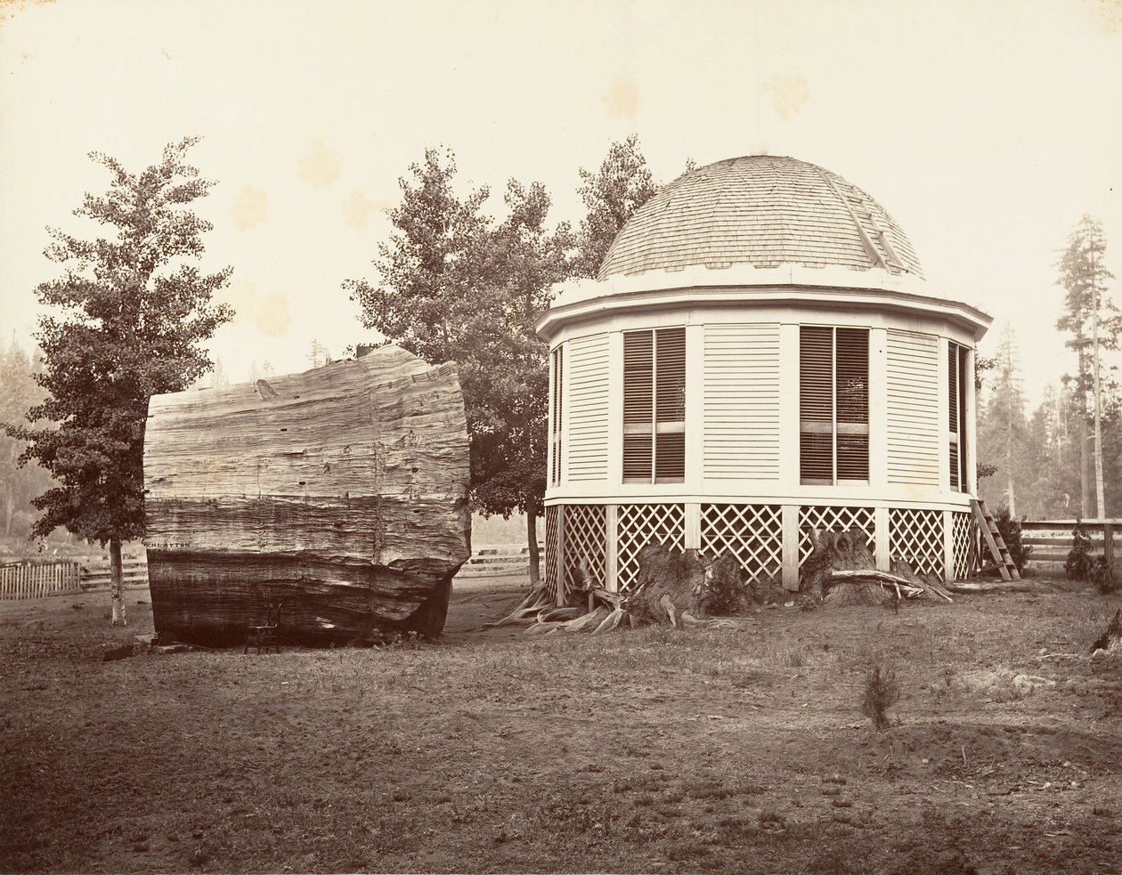 Dům nad pařezem velkého stromu, 1865-66, tisk ca. 1876. od Carleton Emmons Watkins