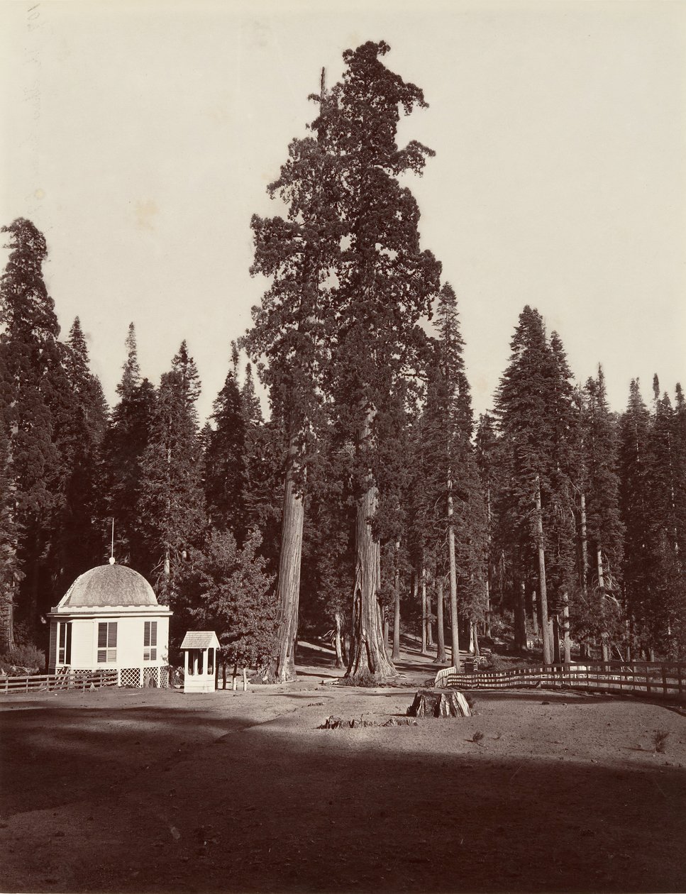 Sentinel, 315 stop, 1865-66, vytištěno ca. 1876. od Carleton Emmons Watkins