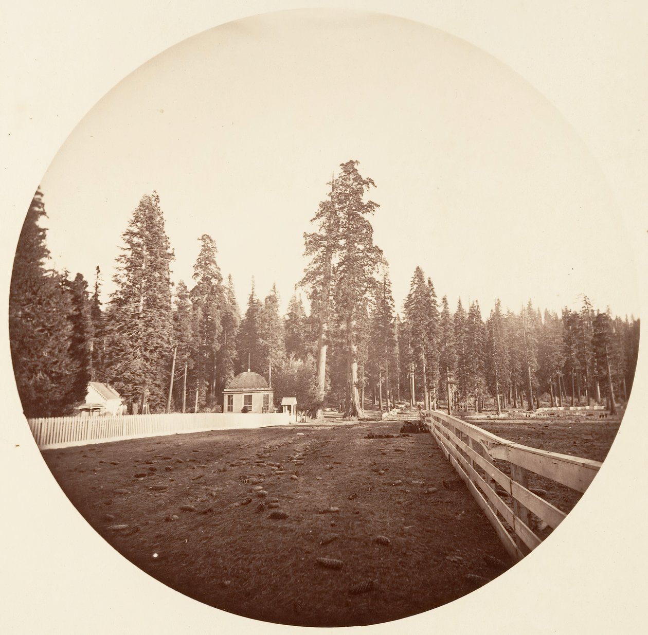 Sentinelové. C. Grove, ca. 1878. od Carleton Emmons Watkins