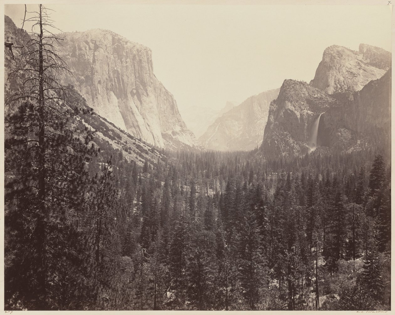 Yosemitské údolí z Mariposa Trail, 1865-1866. od Carleton Emmons Watkins