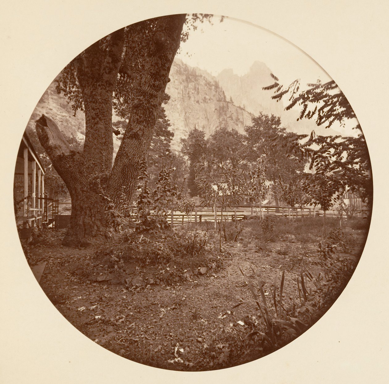 [Yosemitský národní park, Kalifornie], ca. 1878. od Carleton Emmons Watkins