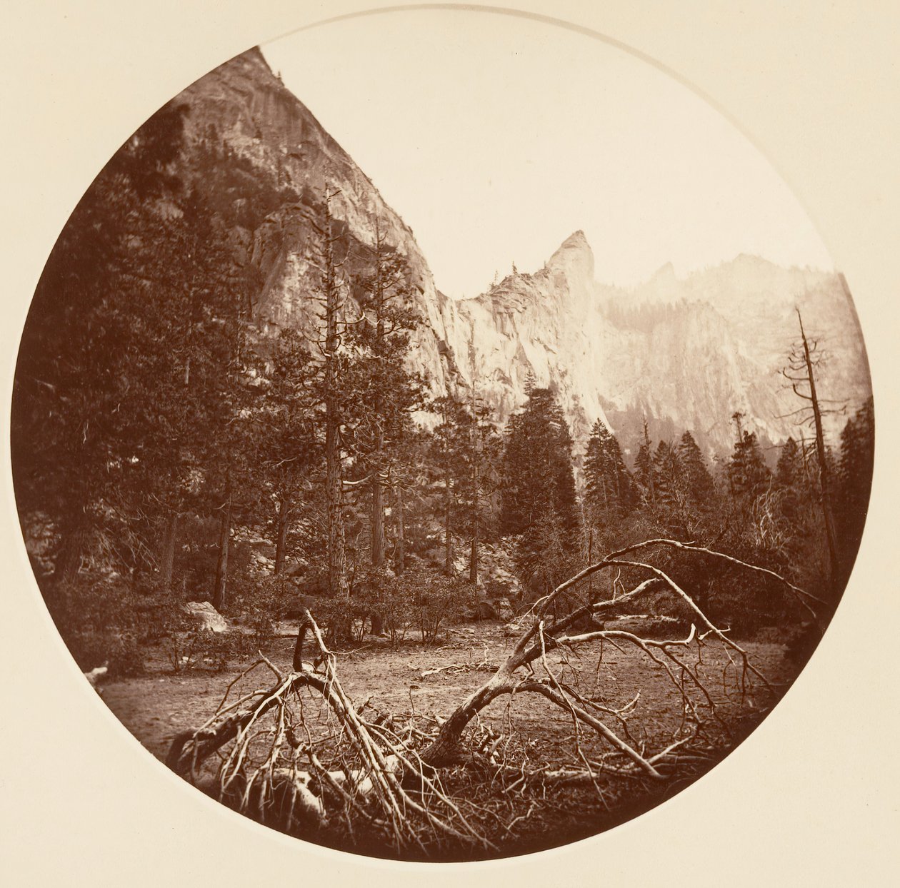 [Yosemitský národní park, Kalifornie], ca. 1878. od Carleton Emmons Watkins