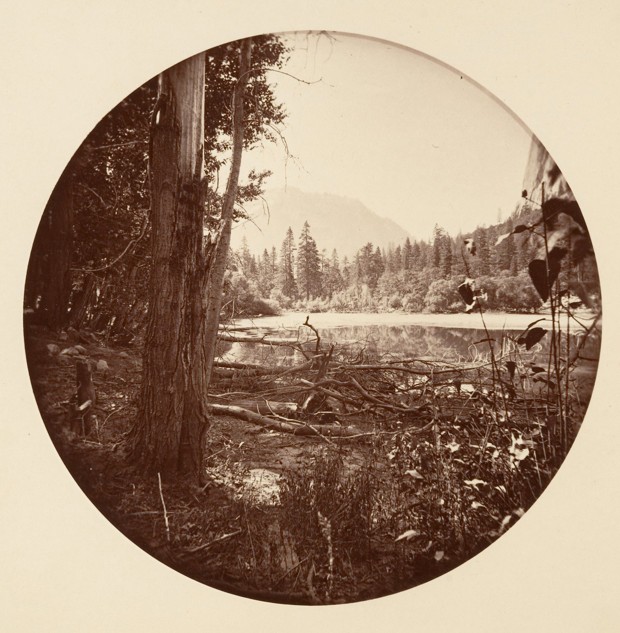[Yosemitský národní park, Kalifornie], ca. 1878. od Carleton Emmons Watkins