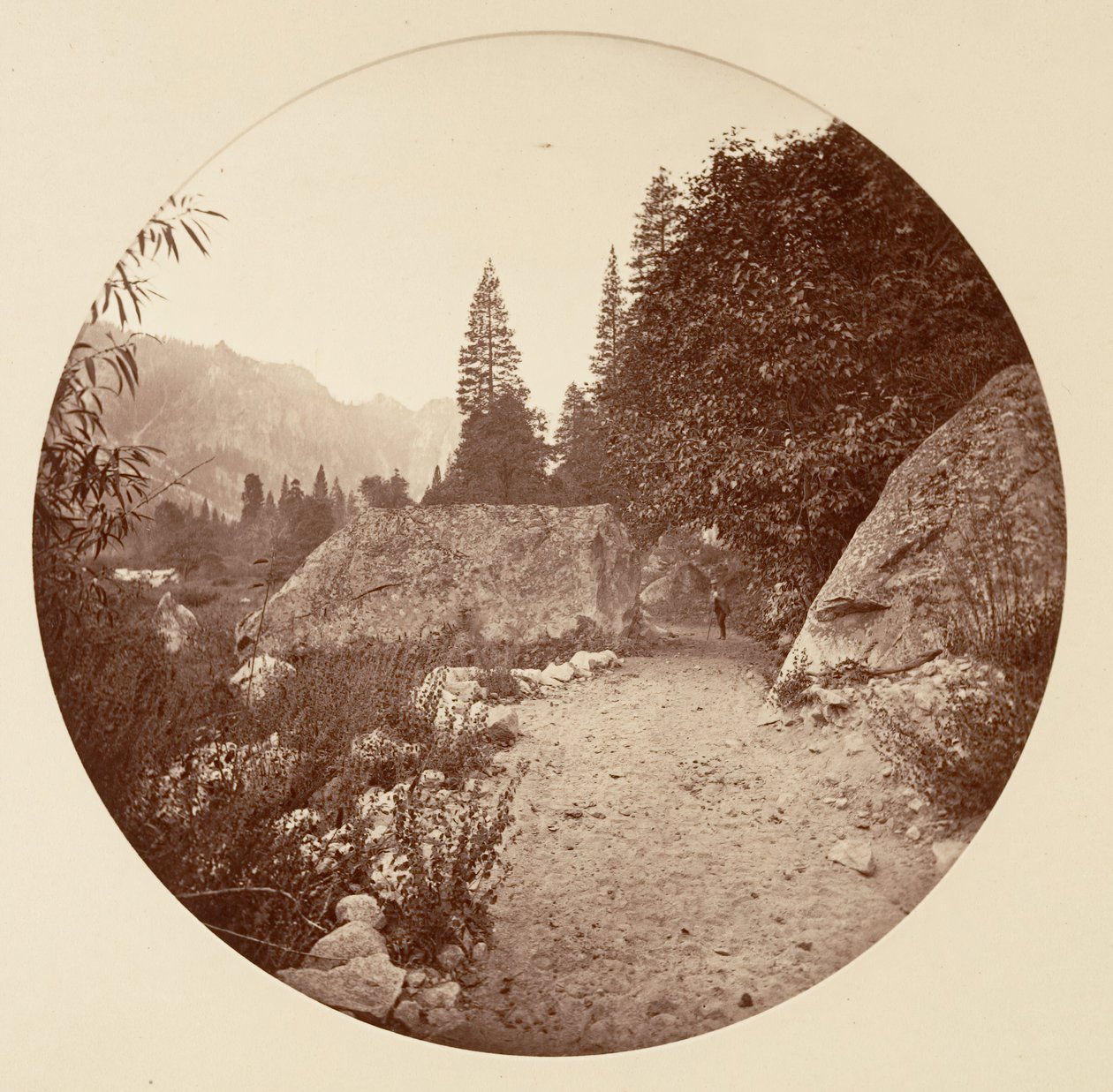 [Yosemitský národní park, Kalifornie], ca. 1878. od Carleton Emmons Watkins