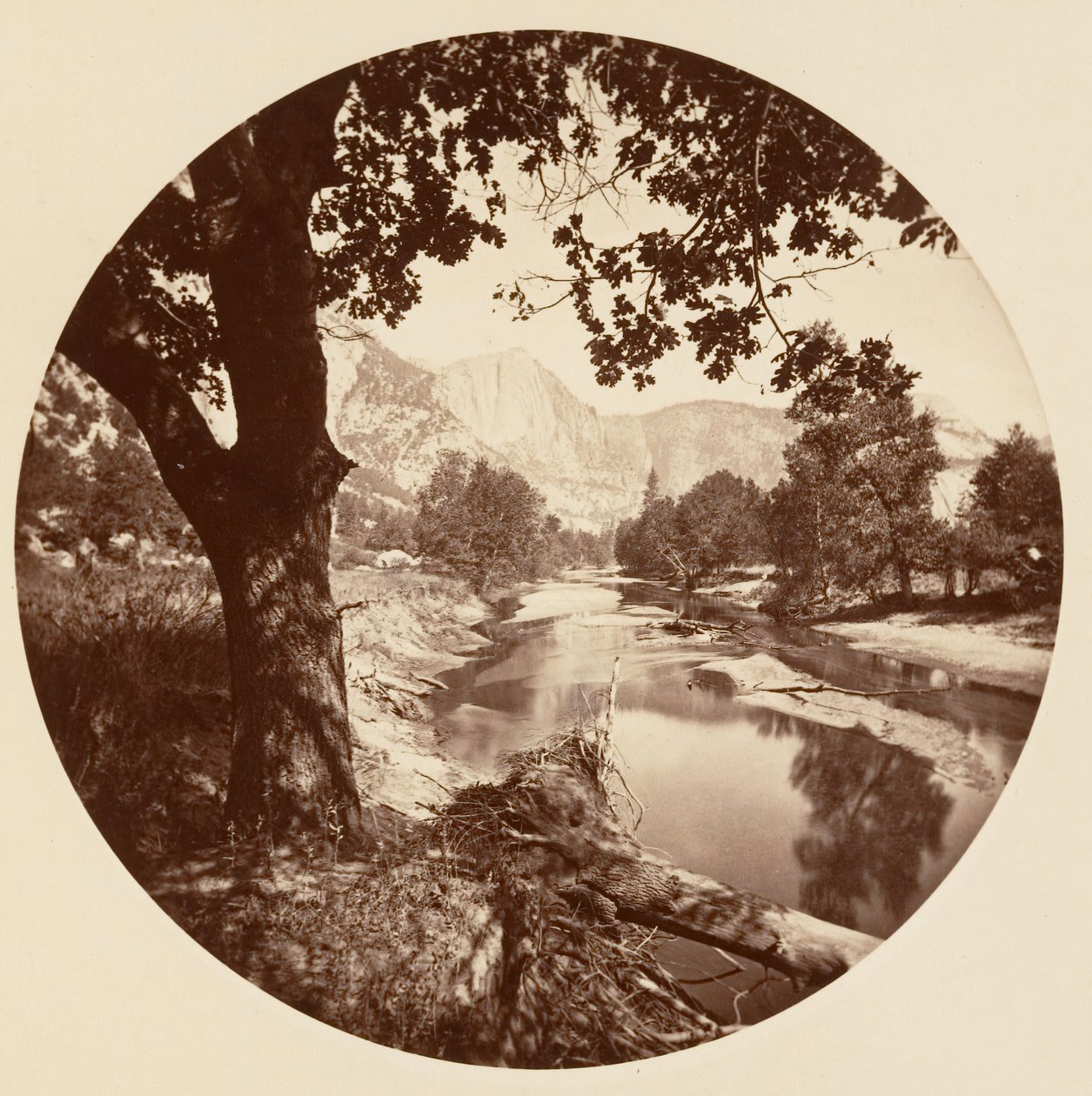 [Yosemitský národní park, Kalifornie], ca. 1878. od Carleton Emmons Watkins