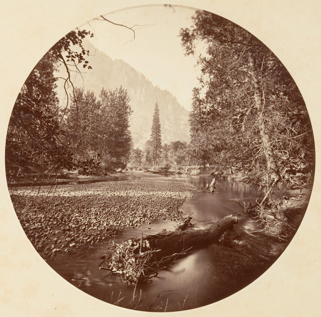 [Yosemitský národní park, Kalifornie], ca. 1878. od Carleton Emmons Watkins