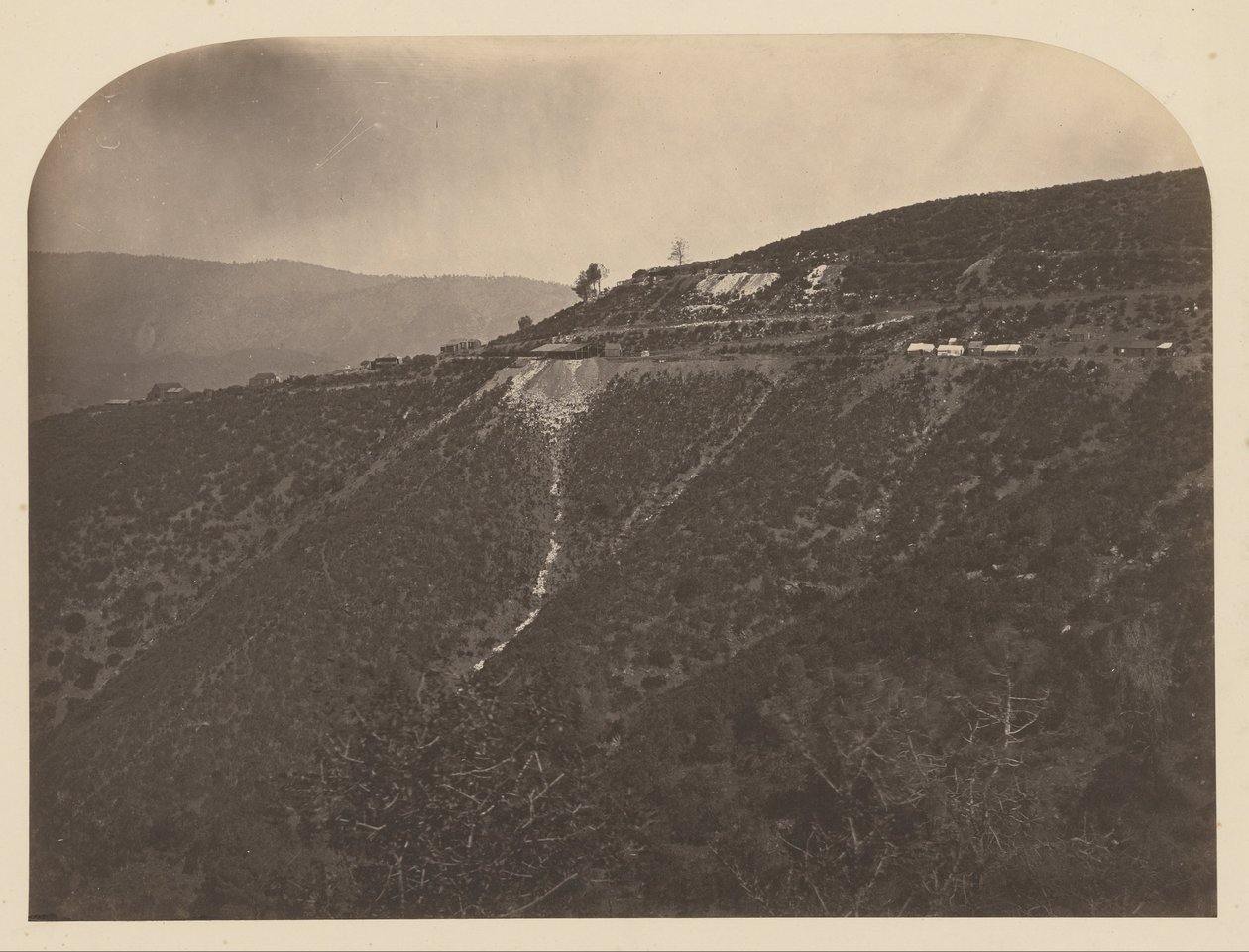 (Pine Tree Mine) od Carleton Watkins