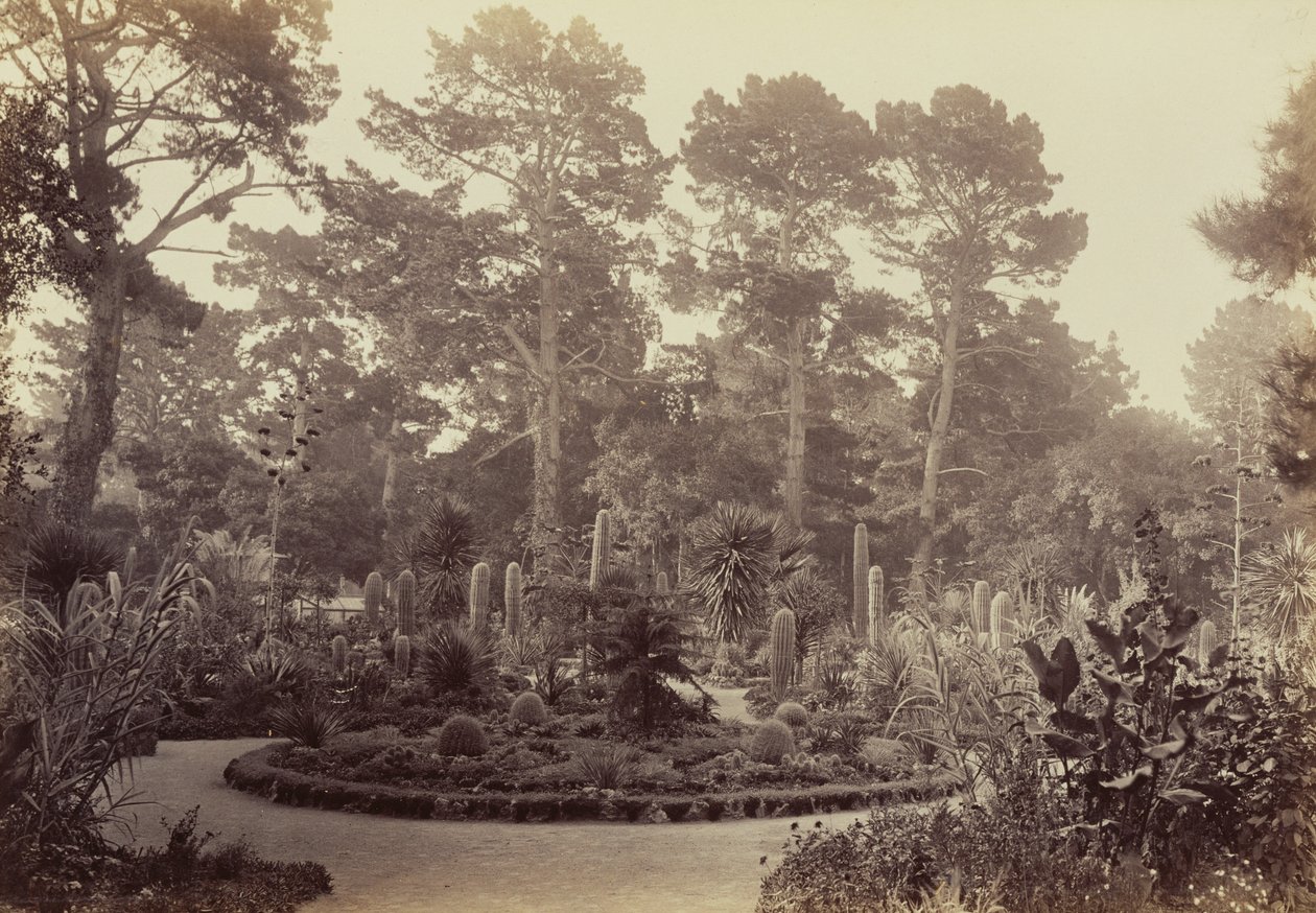 [Arizonská zahrada, hotel del Monte, Monterey] od Carleton Watkins