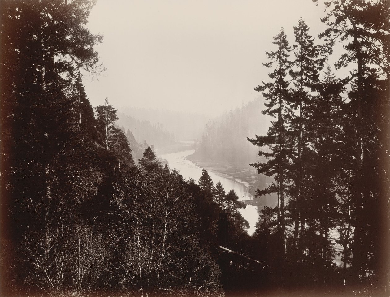 Big River, z Rancherie, Mendocino, Kalifornie od Carleton Watkins