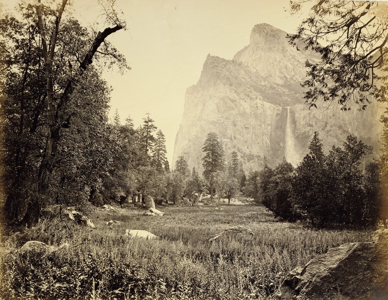 Svatební závoj, 900 stop od Carleton Watkins