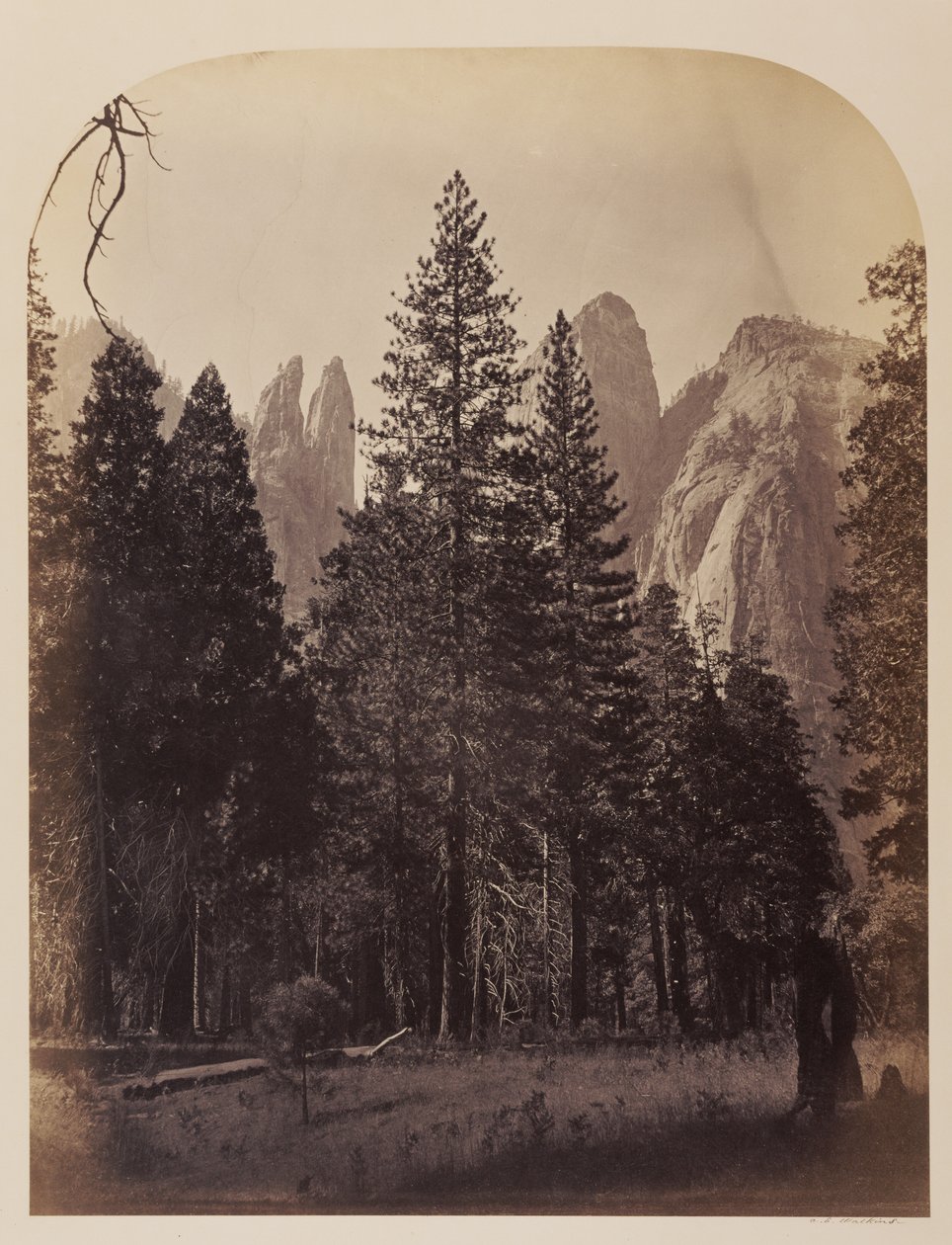 Katedrální věže - Yosemite od Carleton Watkins