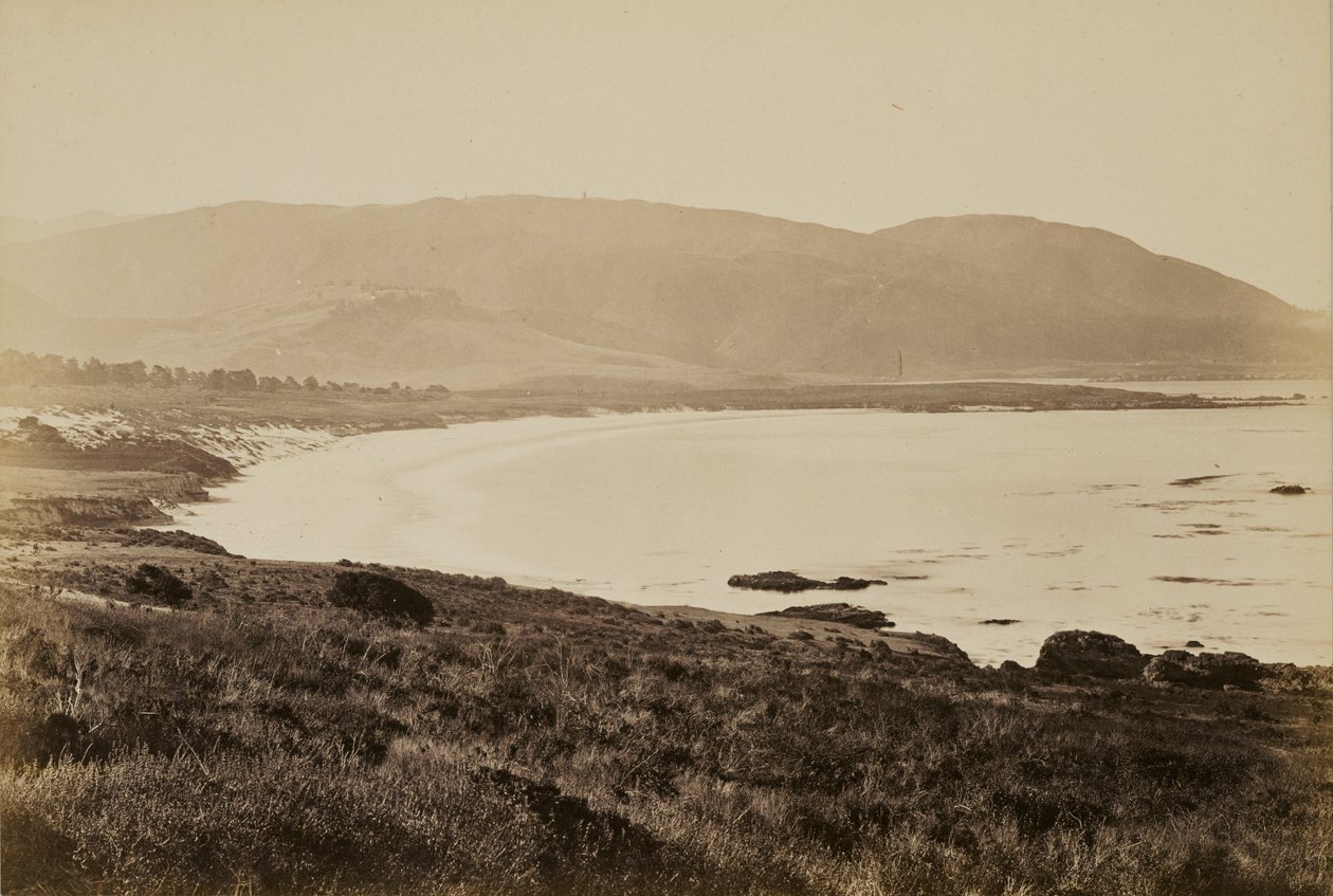 [Pohled na pobřeží, Monterey] od Carleton Watkins