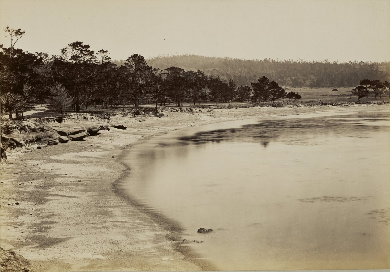 [Pohled na pobřeží u Monterey] od Carleton Watkins