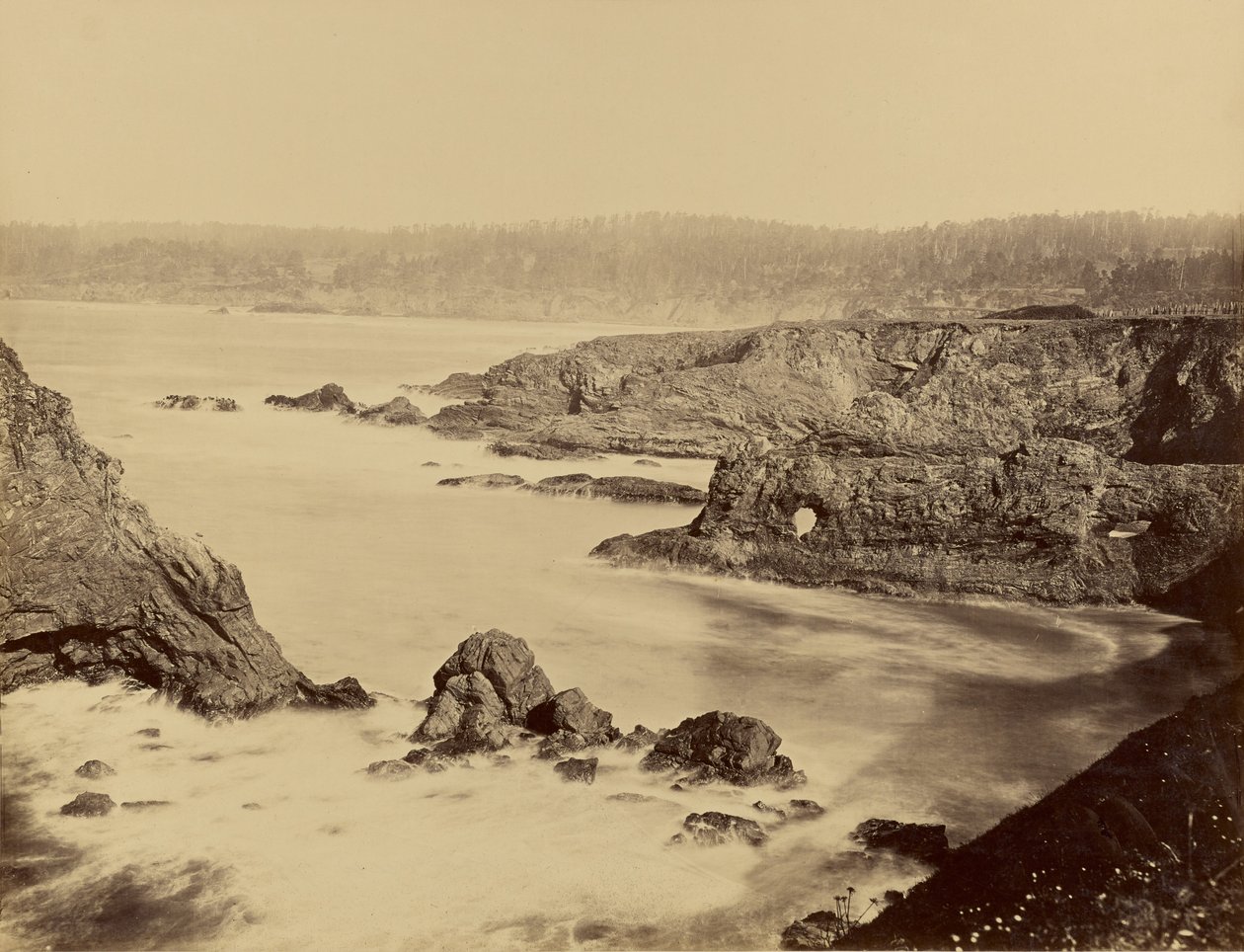 [Pohled na pobřeží Mendocina] od Carleton Watkins